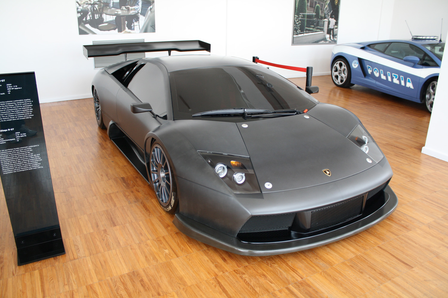 Murcielago en casa Murcielago en casa